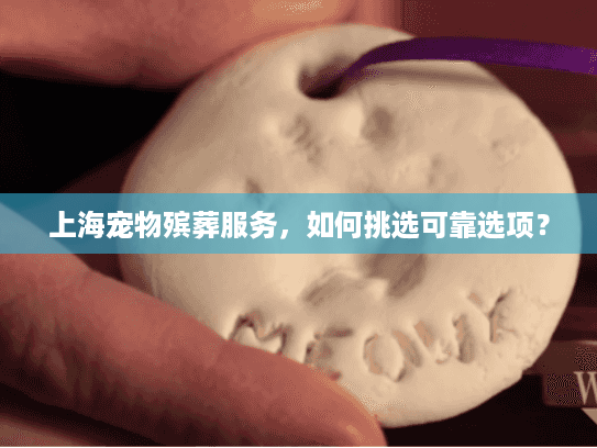 上海宠物殡葬服务，如何挑选可靠选项？