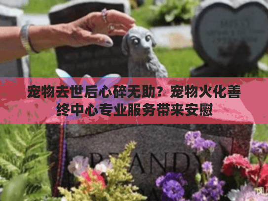 宠物去世后心碎无助？宠物火化善终中心专业服务带来安慰