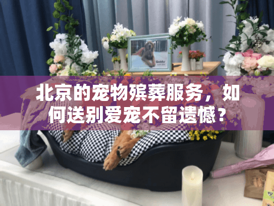 北京的宠物殡葬服务，如何送别爱宠不留遗憾？