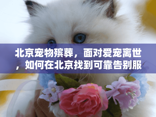北京宠物殡葬，面对爱宠离世，如何在北京找到可靠告别服务