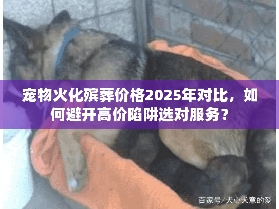 宠物火化殡葬价格2025年对比，如何避开高价陷阱选对服务？