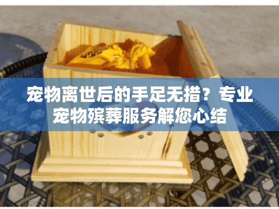 宠物离世后的手足无措？专业宠物殡葬服务解您心结