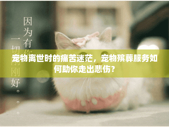 宠物离世时的痛苦迷茫，宠物殡葬服务如何助你走出悲伤？