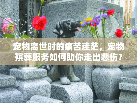 宠物离世时的痛苦迷茫，宠物殡葬服务如何助你走出悲伤？