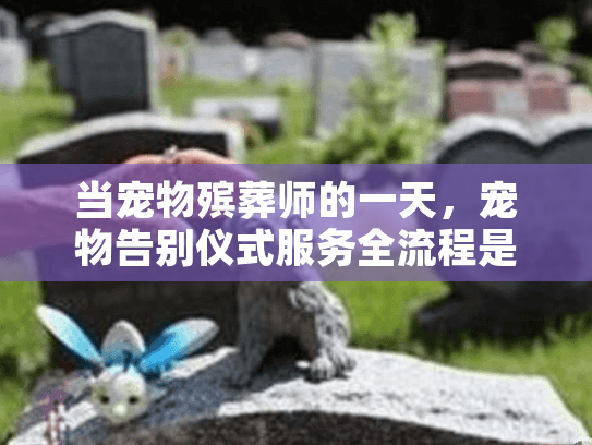当宠物殡葬师的一天，宠物告别仪式服务全流程是怎样的？