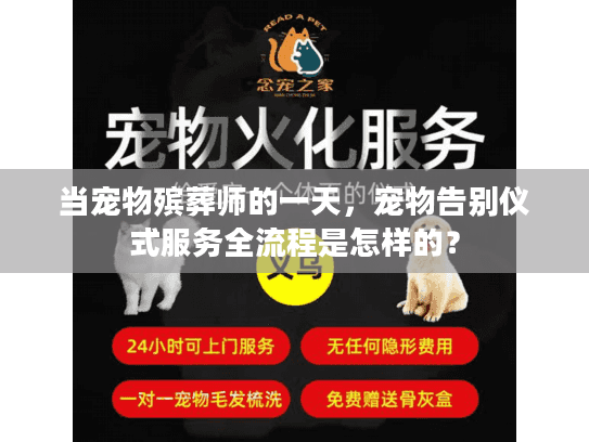当宠物殡葬师的一天，宠物告别仪式服务全流程是怎样的？