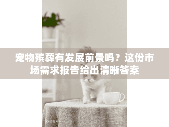 宠物殡葬有发展前景吗？这份市场需求报告给出清晰答案