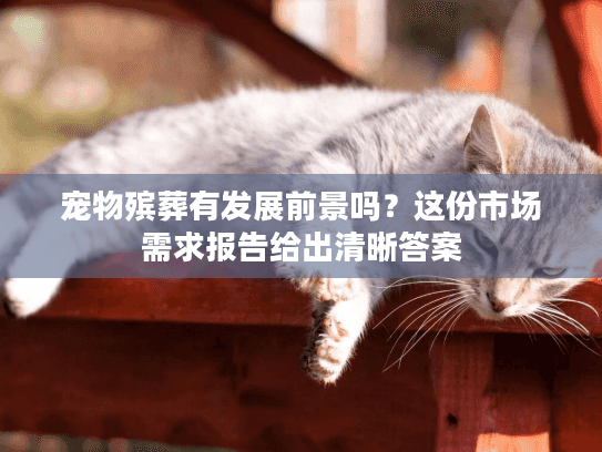 宠物殡葬有发展前景吗？这份市场需求报告给出清晰答案