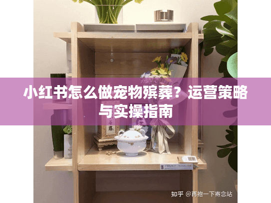 小红书怎么做宠物殡葬？运营策略与实操指南