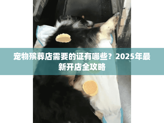 宠物殡葬店需要的证有哪些？2025年最新开店全攻略