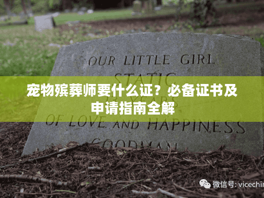宠物殡葬师要什么证？必备证书及申请指南全解