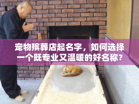 宠物殡葬店起名字，如何选择一个既专业又温暖的好名称？
