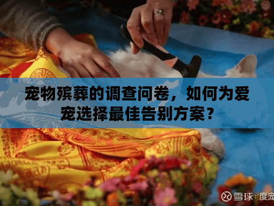 宠物殡葬的调查问卷，如何为爱宠选择最佳告别方案？