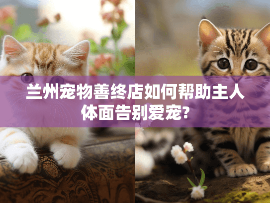 兰州宠物善终店如何帮助主人体面告别爱宠?