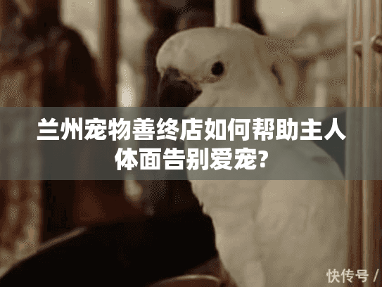 兰州宠物善终店如何帮助主人体面告别爱宠?