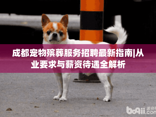 成都宠物殡葬服务招聘最新指南|从业要求与薪资待遇全解析