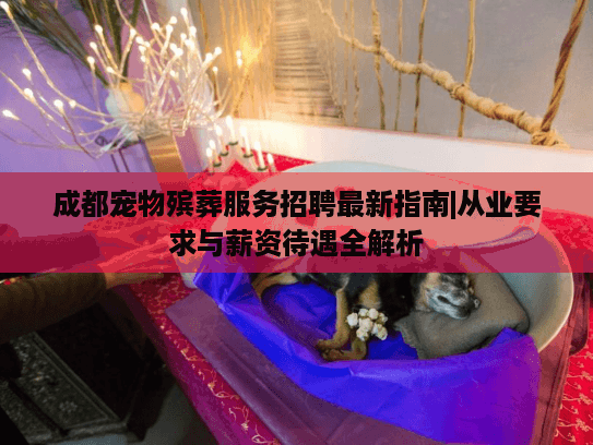 成都宠物殡葬服务招聘最新指南|从业要求与薪资待遇全解析