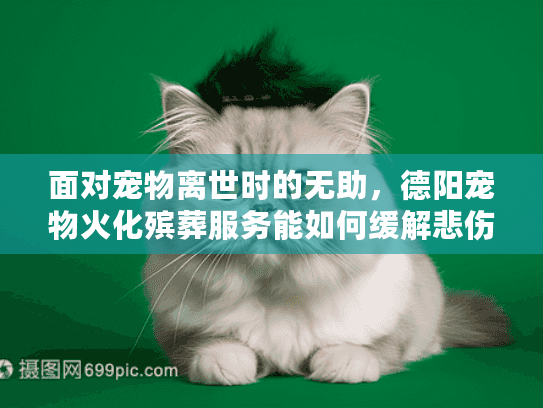 面对宠物离世时的无助，德阳宠物火化殡葬服务能如何缓解悲伤？