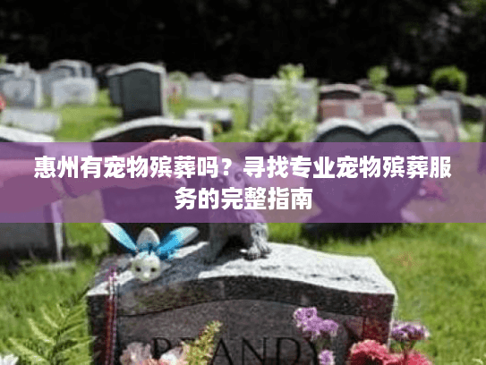 惠州有宠物殡葬吗？寻找专业宠物殡葬服务的完整指南