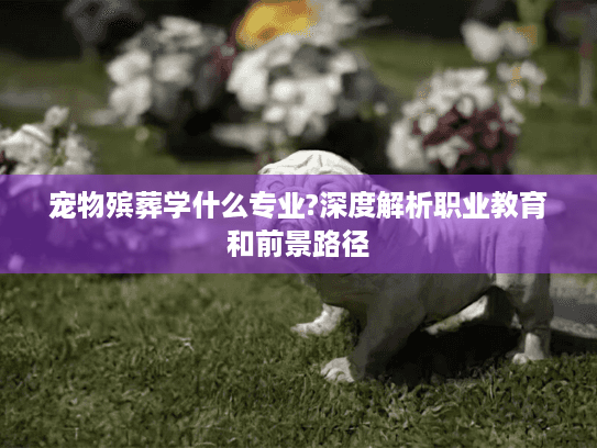 宠物殡葬学什么专业?深度解析职业教育和前景路径