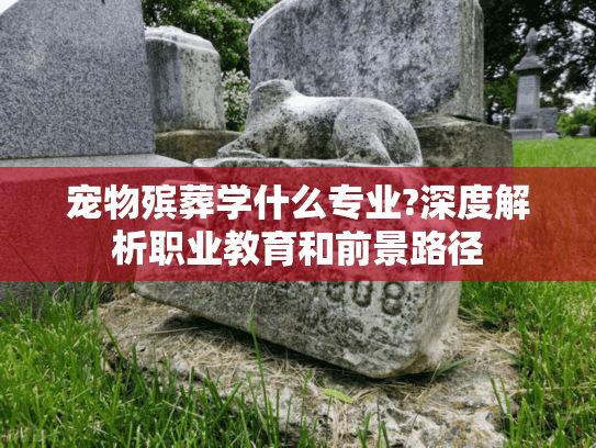 宠物殡葬学什么专业?深度解析职业教育和前景路径