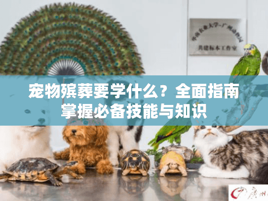 宠物殡葬要学什么？全面指南掌握必备技能与知识