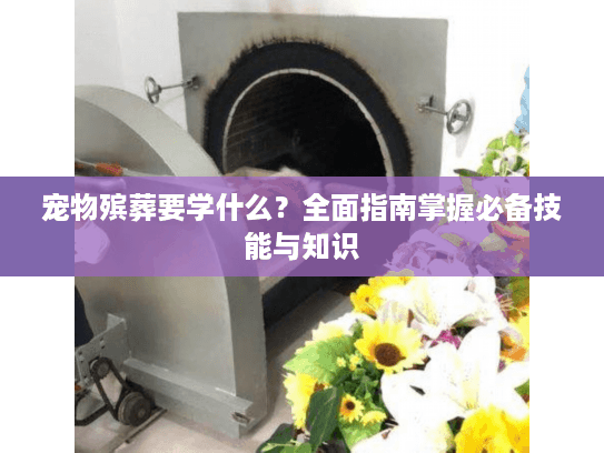 宠物殡葬要学什么？全面指南掌握必备技能与知识