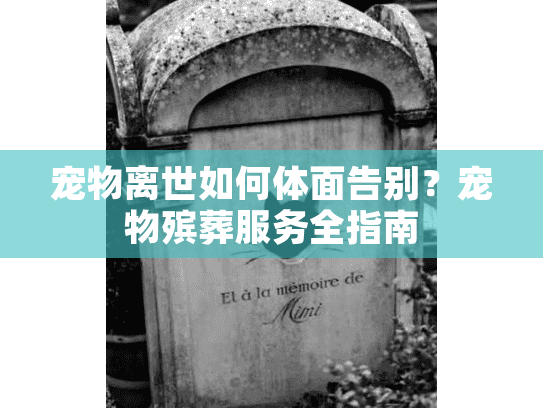 宠物离世如何体面告别？宠物殡葬服务全指南