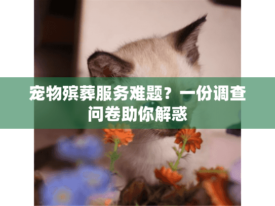 宠物殡葬服务难题？一份调查问卷助你解惑
