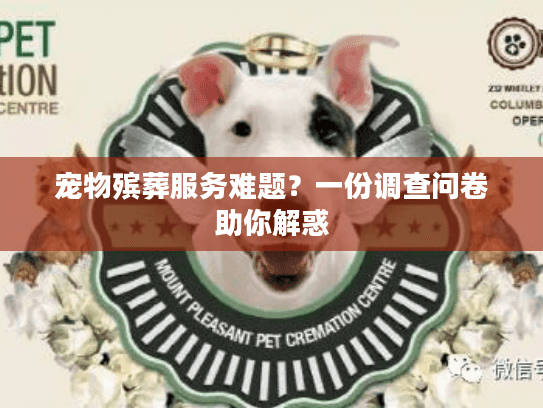 宠物殡葬服务难题？一份调查问卷助你解惑