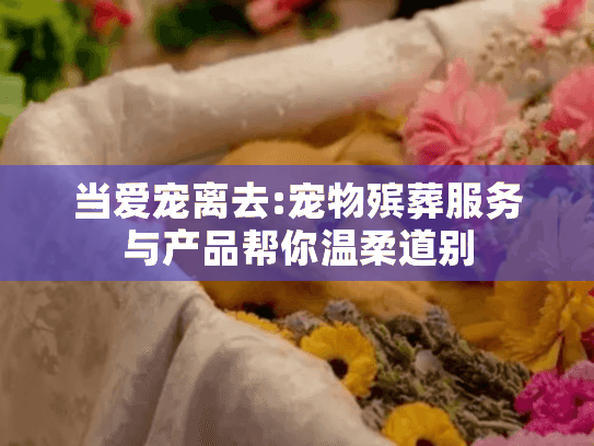当爱宠离去:宠物殡葬服务与产品帮你温柔道别