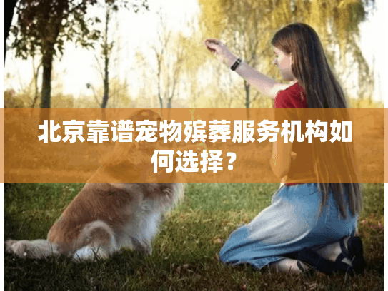 北京靠谱宠物殡葬服务机构如何选择？