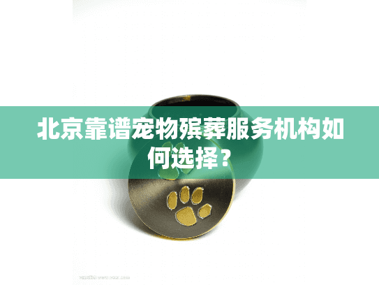 北京靠谱宠物殡葬服务机构如何选择？
