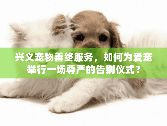兴义宠物善终服务，如何为爱宠举行一场尊严的告别仪式？