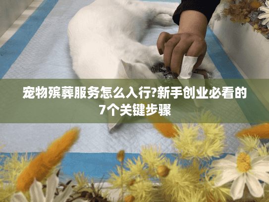 宠物殡葬服务怎么入行?新手创业必看的7个关键步骤