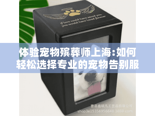 体验宠物殡葬师上海:如何轻松选择专业的宠物告别服务