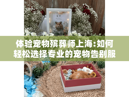 体验宠物殡葬师上海:如何轻松选择专业的宠物告别服务