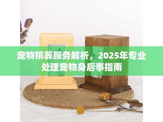 宠物殡葬服务解析，2025年专业处理宠物身后事指南