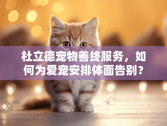 杜立德宠物善终服务，如何为爱宠安排体面告别？