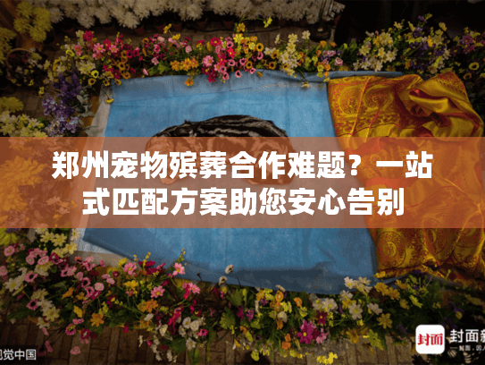 郑州宠物殡葬合作难题？一站式匹配方案助您安心告别