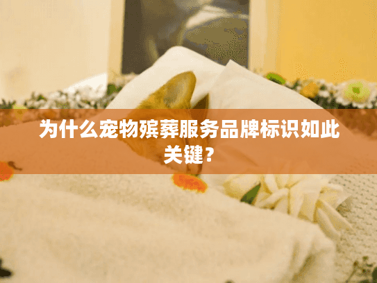 为什么宠物殡葬服务品牌标识如此关键？