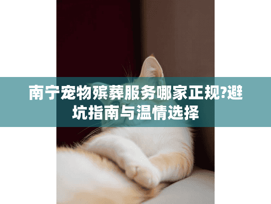 南宁宠物殡葬服务哪家正规?避坑指南与温情选择