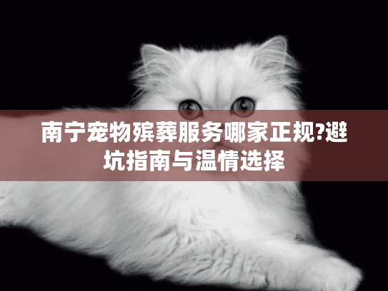 南宁宠物殡葬服务哪家正规?避坑指南与温情选择