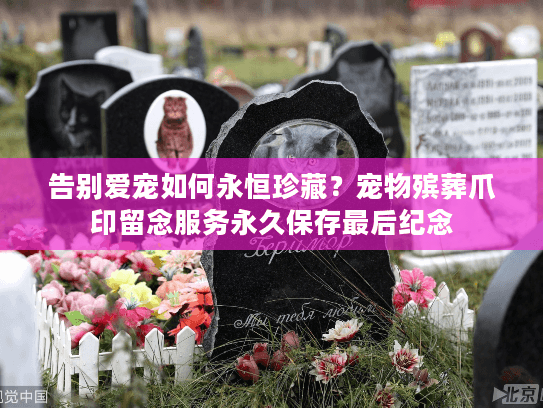 告别爱宠如何永恒珍藏？宠物殡葬爪印留念服务永久保存最后纪念