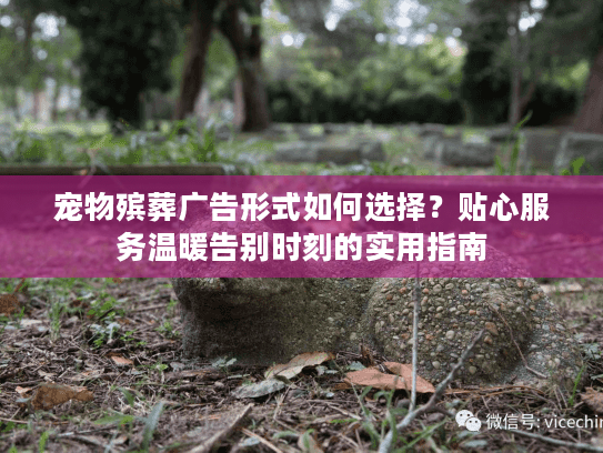 宠物殡葬广告形式如何选择？贴心服务温暖告别时刻的实用指南
