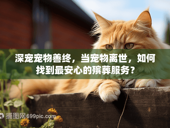 深宠宠物善终，当宠物离世，如何找到最安心的殡葬服务？