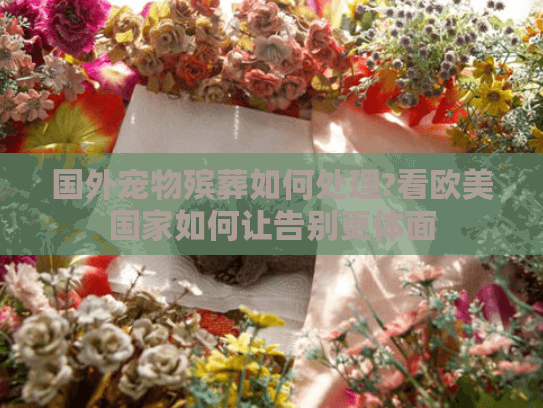 国外宠物殡葬如何处理?看欧美国家如何让告别更体面