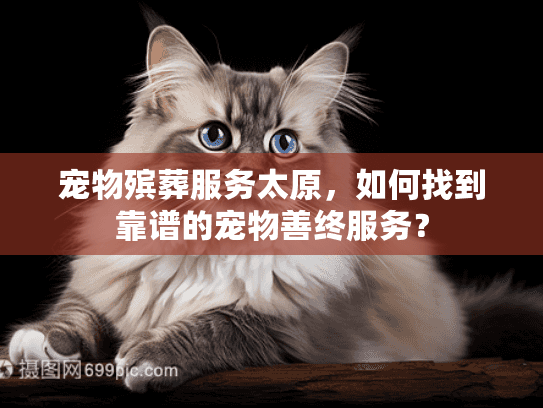 宠物殡葬服务太原，如何找到靠谱的宠物善终服务？
