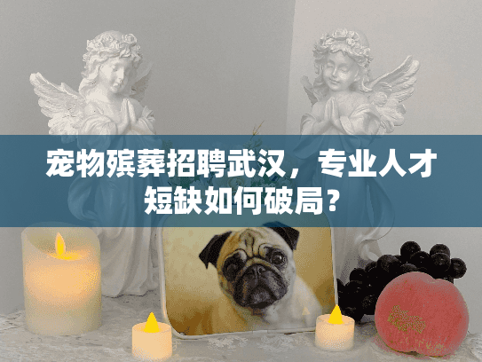 宠物殡葬招聘武汉，专业人才短缺如何破局？