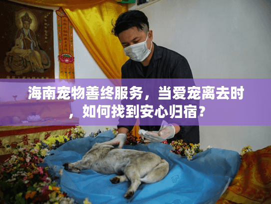 海南宠物善终服务，当爱宠离去时，如何找到安心归宿？